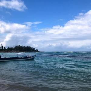 Meet your Posher, Elsa